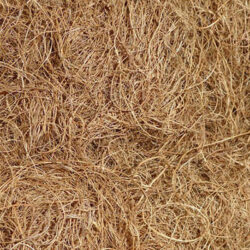 Ginger coir- upholstery filling