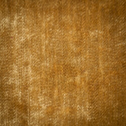 Crushed Velvet Mustard